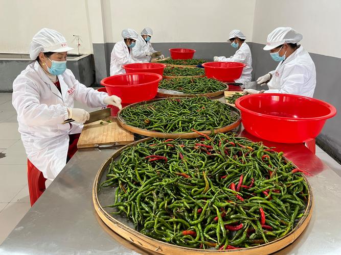 石鼓鎮:大力發展農產品加工 激活鄉村振興新動能